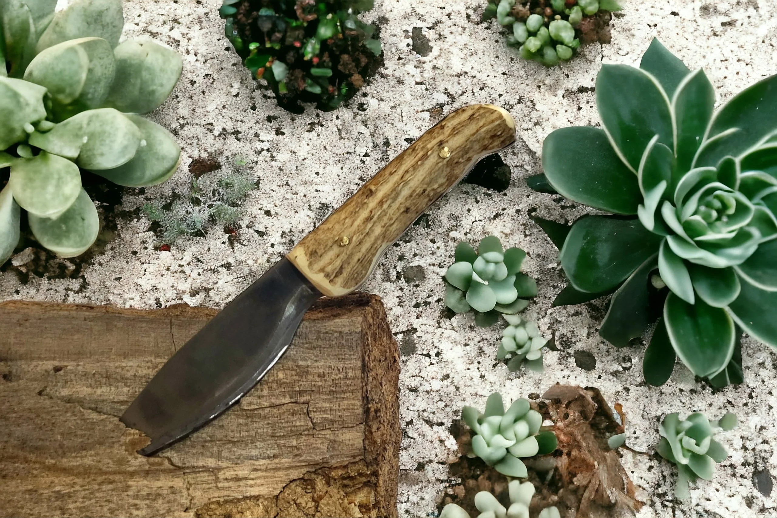 Fixed Camping Antler Knife With Kydex Sheath - 5.5 In