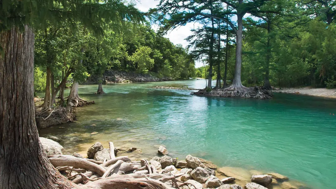 Read more about the article How to Keep Your Knife Sharp in Austin’s Humid Heat